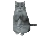 Կպչուն պիտակ