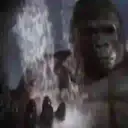 Կպչուն պիտակ