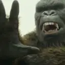 Կպչուն պիտակ