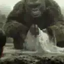 Կպչուն պիտակ