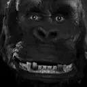 Կպչուն պիտակ