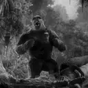 Կպչուն պիտակ