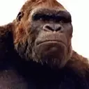 Կպչուն պիտակ