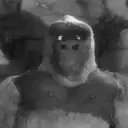 Կպչուն պիտակ