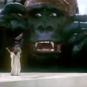 Կպչուն պիտակ