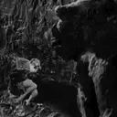 Կպչուն պիտակ