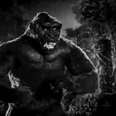 Կպչուն պիտակ