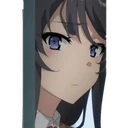 স্টিকার