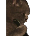 স্টিকার