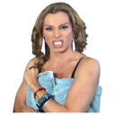 স্টিকার