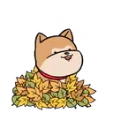 ស្ទីកเกอร์