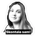 sticker