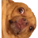 স্টিকার