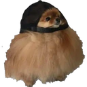 স্টিকার