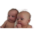 ஸ்டிக்கர்