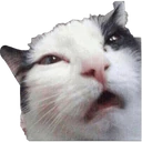 สติกเกอร์