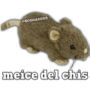 ஸ்டிக்கர்