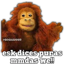 ஸ்டிக்கர்