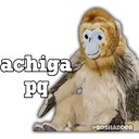 ஸ்டிக்கர்