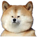 স্টিকার