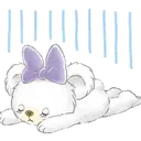 Կպչուն պիտակ