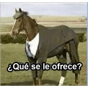 ස්ටිකර්