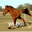 ස්ටිකර්