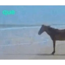 ස්ටිකර්