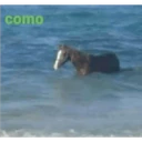 ස්ටිකර්