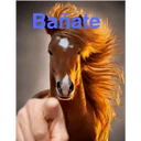 ස්ටිකර්