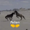 ස්ටිකර්