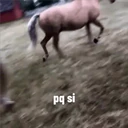 ස්ටිකර්