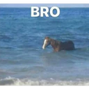 ස්ටිකර්