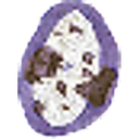 ஸ்டிக்கர்